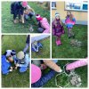 4 as busy as a beaver or bees maths in art